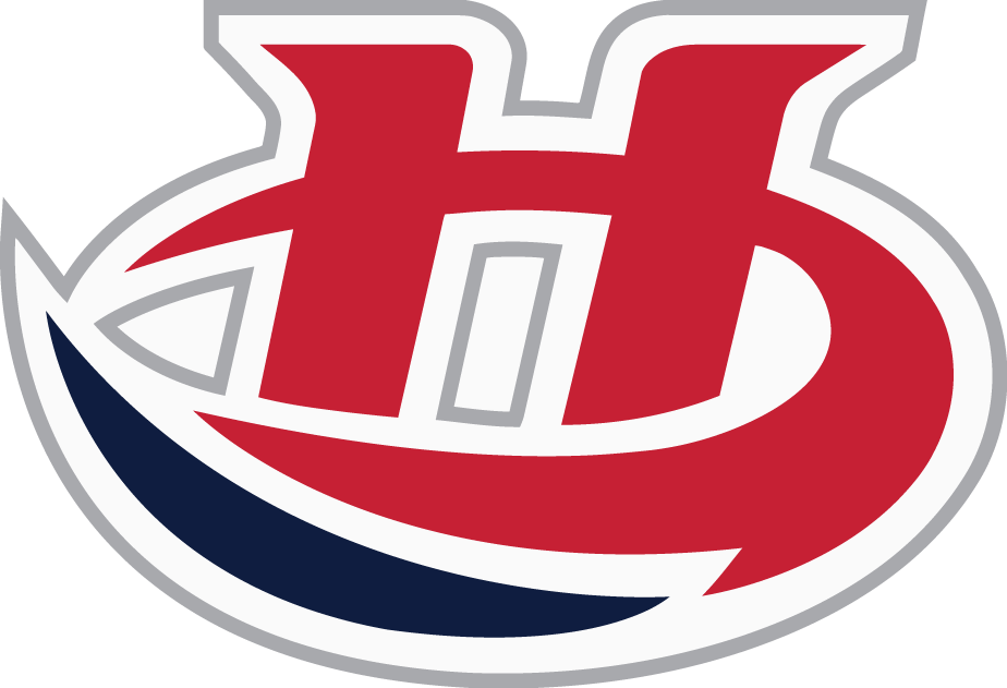 lethbridge hurricanes 2013-pres primary logo iron on heat transfer